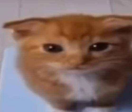 ele so pesa 1 grama