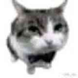 kotaro