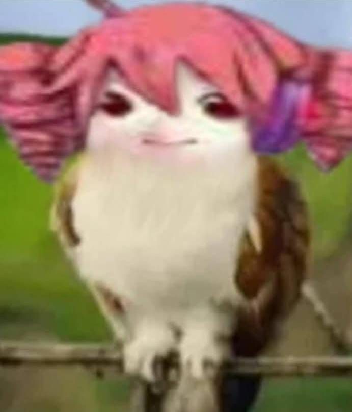 tetoruja